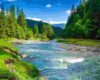 Fern Hills River